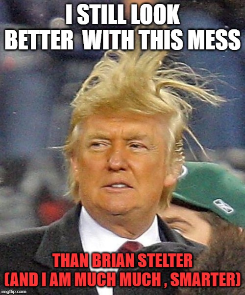 Donald Trumph hair | I STILL LOOK BETTER  WITH THIS MESS; THAN BRIAN STELTER
(AND I AM MUCH MUCH , SMARTER) | image tagged in donald trumph hair | made w/ Imgflip meme maker