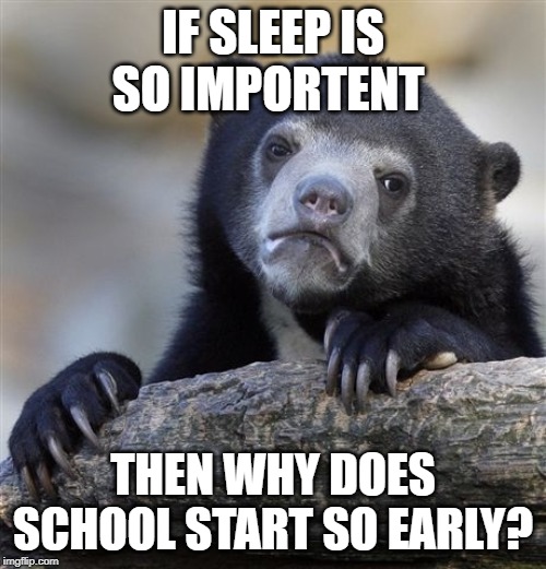 Confession Bear | IF SLEEP IS SO IMPORTENT; THEN WHY DOES SCHOOL START SO EARLY? | image tagged in memes,confession bear | made w/ Imgflip meme maker