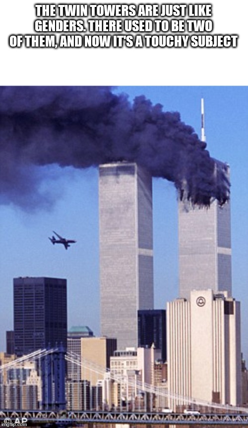 twin tower style | THE TWIN TOWERS ARE JUST LIKE GENDERS. THERE USED TO BE TWO OF THEM, AND NOW IT'S A TOUCHY SUBJECT | image tagged in twin tower style | made w/ Imgflip meme maker