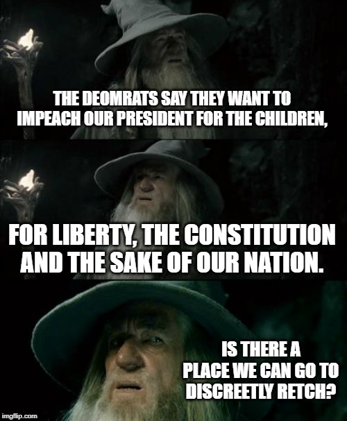 Confused Gandalf Meme | THE DEOMRATS SAY THEY WANT TO IMPEACH OUR PRESIDENT FOR THE CHILDREN, FOR LIBERTY, THE CONSTITUTION AND THE SAKE OF OUR NATION. IS THERE A PLACE WE CAN GO TO DISCREETLY RETCH? | image tagged in memes,confused gandalf | made w/ Imgflip meme maker