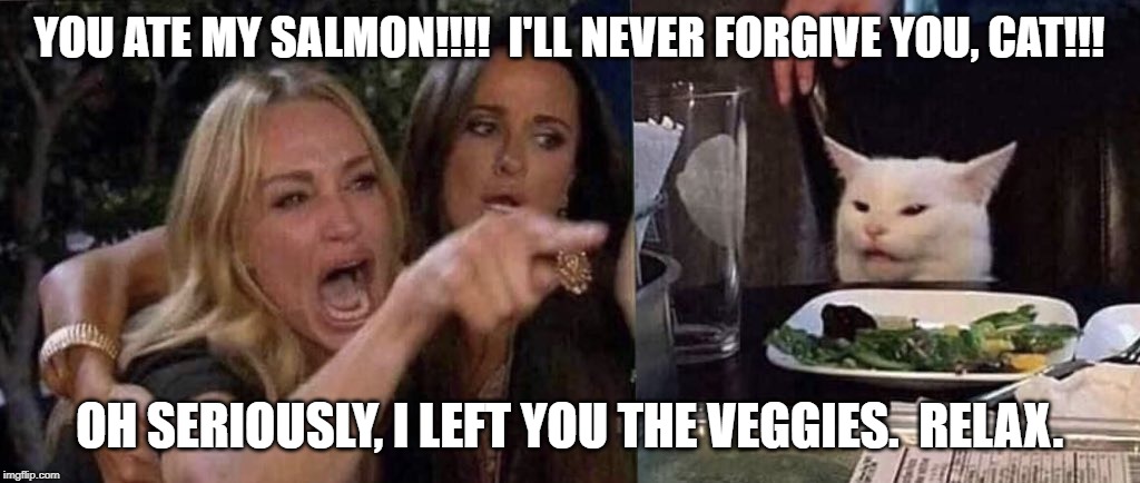 woman yelling at cat | YOU ATE MY SALMON!!!!  I'LL NEVER FORGIVE YOU, CAT!!! OH SERIOUSLY, I LEFT YOU THE VEGGIES.  RELAX. | image tagged in woman yelling at cat | made w/ Imgflip meme maker