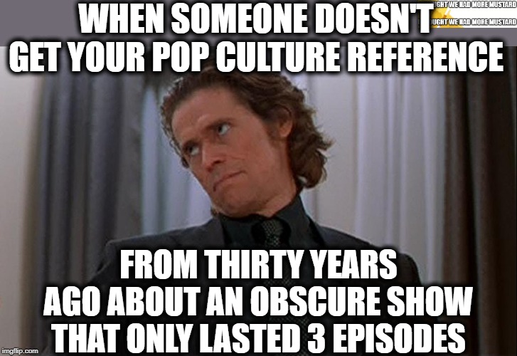 Pop Culture Reference | WHEN SOMEONE DOESN'T GET YOUR POP CULTURE REFERENCE; FROM THIRTY YEARS AGO ABOUT AN OBSCURE SHOW THAT ONLY LASTED 3 EPISODES | image tagged in boondock saints smecker thinks you're stupid | made w/ Imgflip meme maker