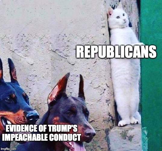 hide cat dogs | REPUBLICANS; EVIDENCE OF TRUMP'S IMPEACHABLE CONDUCT | image tagged in hide cat dogs | made w/ Imgflip meme maker