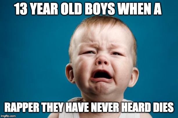 BABY CRYING | 13 YEAR OLD BOYS WHEN A; RAPPER THEY HAVE NEVER HEARD DIES | image tagged in baby crying | made w/ Imgflip meme maker
