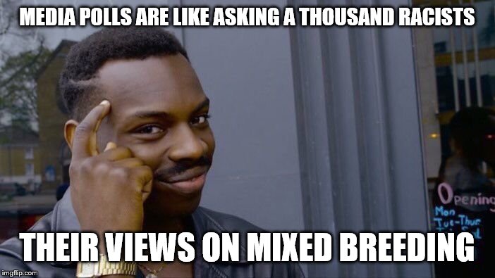 Roll Safe Think About It Meme | MEDIA POLLS ARE LIKE ASKING A THOUSAND RACISTS THEIR VIEWS ON MIXED BREEDING | image tagged in memes,roll safe think about it | made w/ Imgflip meme maker