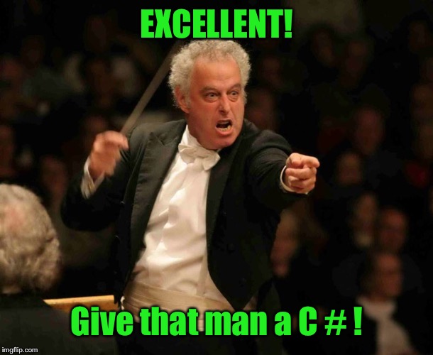 Angry Musician | EXCELLENT! Give that man a C # ! | image tagged in angry musician | made w/ Imgflip meme maker