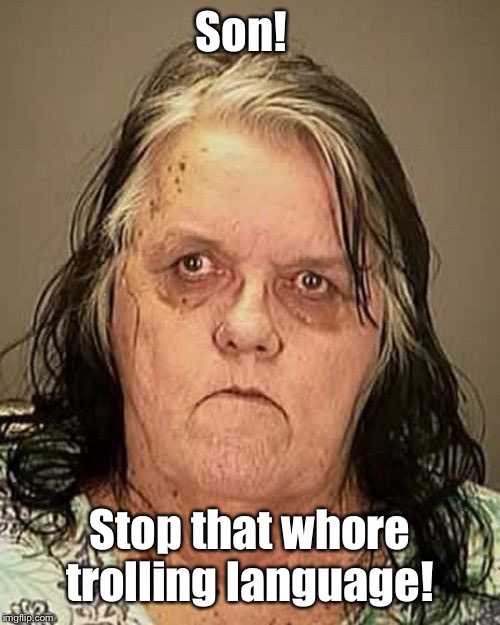 Ugly woman | Son! Stop that w**re trolling language! | image tagged in ugly woman | made w/ Imgflip meme maker