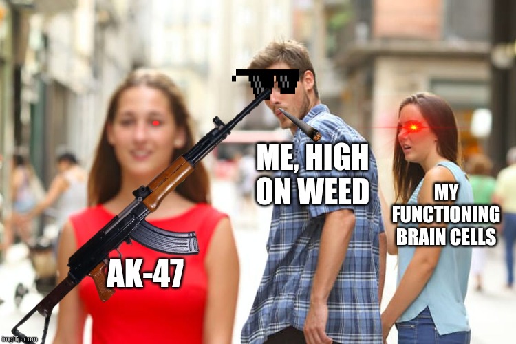 ME, HIGH ON WEED; MY FUNCTIONING BRAIN CELLS; AK-47 | image tagged in funny memes | made w/ Imgflip meme maker