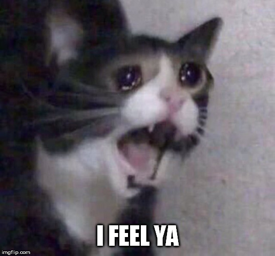 Crying Cat | I FEEL YA | image tagged in crying cat | made w/ Imgflip meme maker