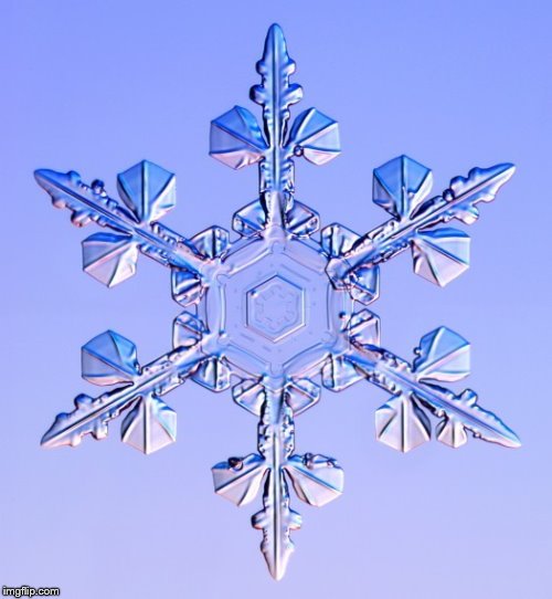 Special snowflake | image tagged in special snowflake | made w/ Imgflip meme maker
