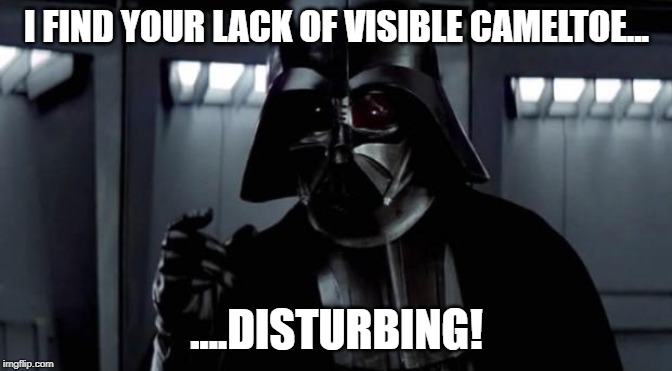I find your lack of X disturbing | I FIND YOUR LACK OF VISIBLE CAMELTOE... ....DISTURBING! | image tagged in i find your lack of x disturbing | made w/ Imgflip meme maker