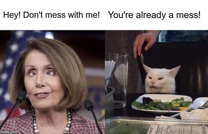 Just Messing Around | Hey! Don't mess with me! You're already a mess! | image tagged in nancy pelosi | made w/ Imgflip meme maker