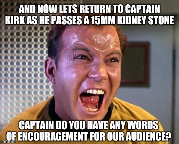 Giving a shout out for sufferers of kidney stones....may your stones always be rounded! | AND NOW LETS RETURN TO CAPTAIN KIRK AS HE PASSES A 15MM KIDNEY STONE; CAPTAIN DO YOU HAVE ANY WORDS OF ENCOURAGEMENT FOR OUR AUDIENCE? | image tagged in captain kirk screaming | made w/ Imgflip meme maker