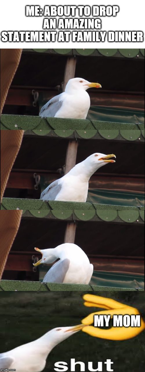 Inhaling Seagull Meme | ME: ABOUT TO DROP AN AMAZING STATEMENT AT FAMILY DINNER; MY MOM | image tagged in memes,inhaling seagull | made w/ Imgflip meme maker
