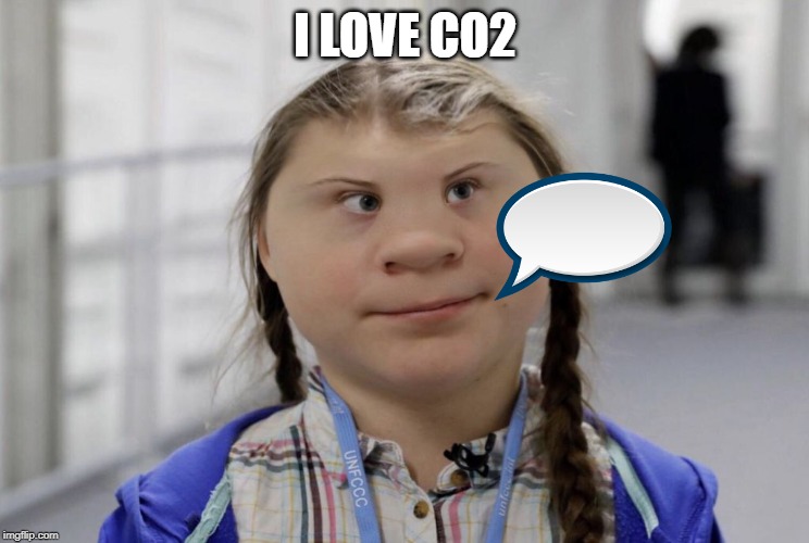 Angry Climate Activist Greta Thunberg | I LOVE CO2 | image tagged in angry climate activist greta thunberg | made w/ Imgflip meme maker