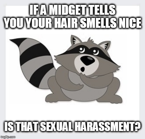 It was in an elevator... | IF A MIDGET TELLS YOU YOUR HAIR SMELLS NICE; IS THAT SEXUAL HARASSMENT? | image tagged in midget,smells nice,raccoon | made w/ Imgflip meme maker
