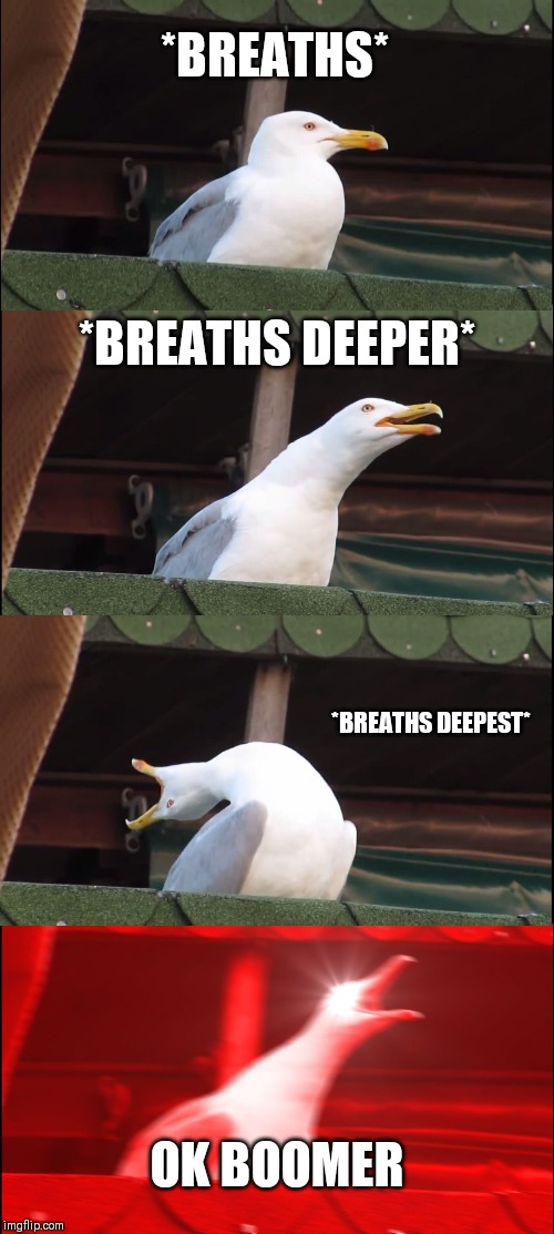 Inhaling Seagull | *BREATHS*; *BREATHS DEEPER*; *BREATHS DEEPEST*; OK BOOMER | image tagged in memes,inhaling seagull | made w/ Imgflip meme maker