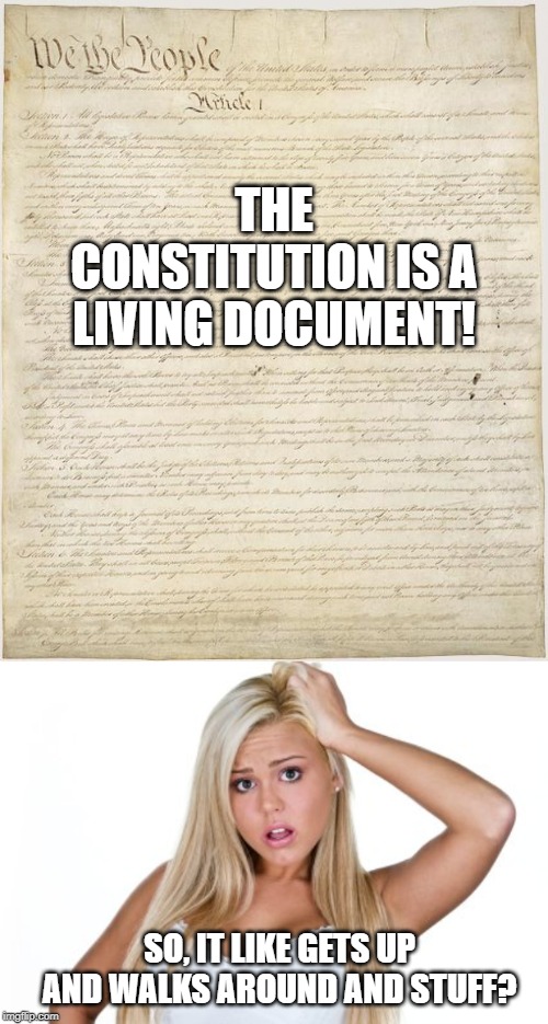 Yeah, That's What It Does! | THE CONSTITUTION IS A LIVING DOCUMENT! SO, IT LIKE GETS UP AND WALKS AROUND AND STUFF? | image tagged in constitution,dumb blonde | made w/ Imgflip meme maker