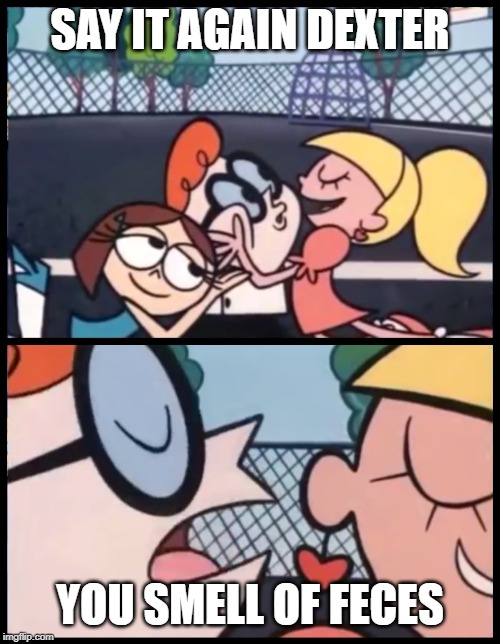 Say it Again, Dexter | SAY IT AGAIN DEXTER; YOU SMELL OF FECES | image tagged in memes,say it again dexter | made w/ Imgflip meme maker