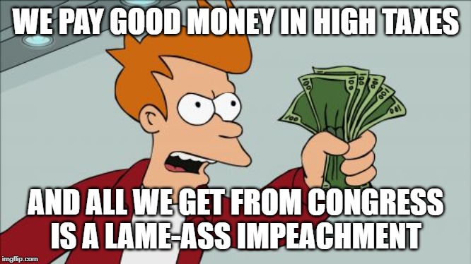 Shut Up And Take My Money Fry | WE PAY GOOD MONEY IN HIGH TAXES; AND ALL WE GET FROM CONGRESS IS A LAME-ASS IMPEACHMENT | image tagged in memes,shut up and take my money fry | made w/ Imgflip meme maker