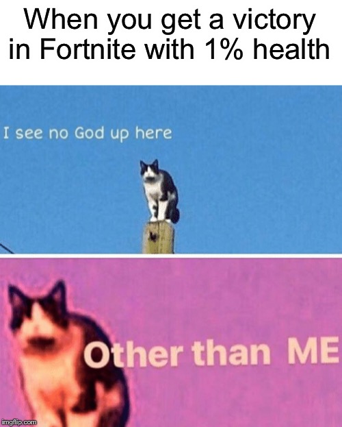 I see no pro up here... only me | When you get a victory in Fortnite with 1% health | image tagged in hail pole cat,fortnite | made w/ Imgflip meme maker