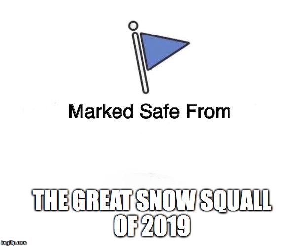 Marked Safe Flag | THE GREAT SNOW SQUALL
OF 2019 | image tagged in marked safe flag | made w/ Imgflip meme maker