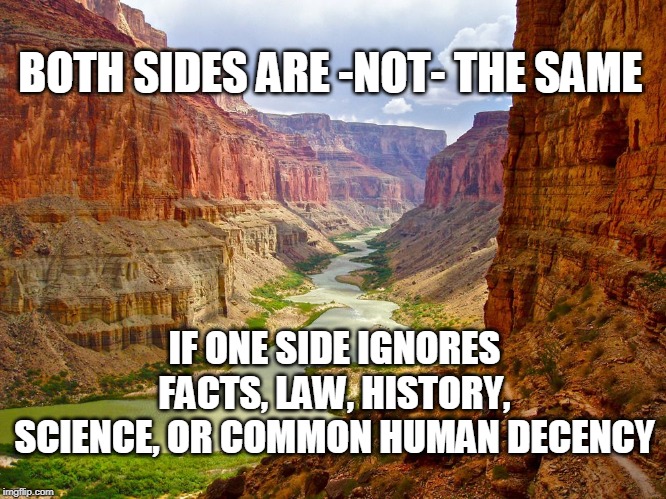 BOTH SIDES ARE -NOT- THE SAME; IF ONE SIDE IGNORES FACTS, LAW, HISTORY, SCIENCE, OR COMMON HUMAN DECENCY | image tagged in facts,science,law,history,decency | made w/ Imgflip meme maker