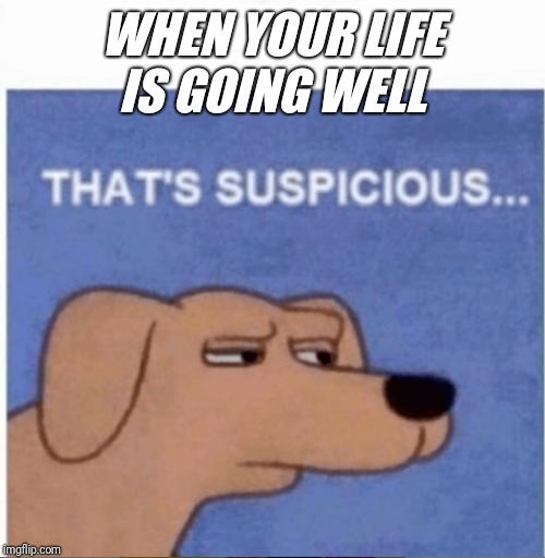 That's Suspicious | WHEN YOUR LIFE IS GOING WELL | image tagged in that's suspicious | made w/ Imgflip meme maker