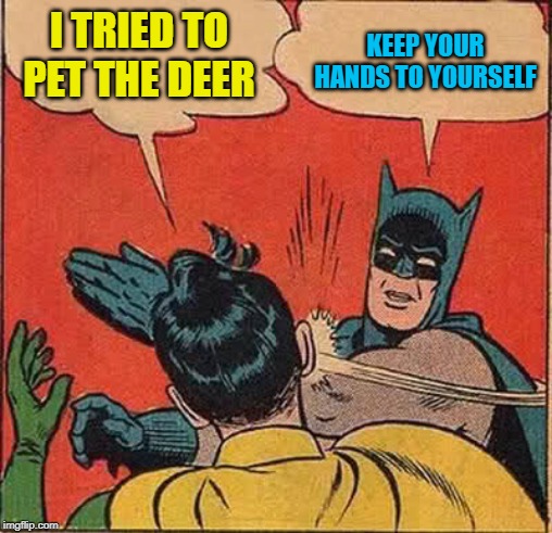 Batman Slapping Robin Meme | I TRIED TO PET THE DEER KEEP YOUR HANDS TO YOURSELF | image tagged in memes,batman slapping robin | made w/ Imgflip meme maker