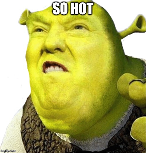 Shrump | SO HOT | image tagged in shrump | made w/ Imgflip meme maker