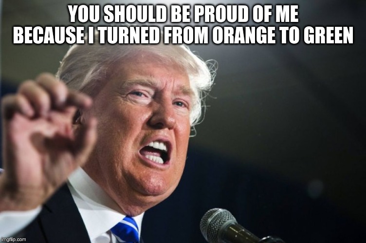 donald trump | YOU SHOULD BE PROUD OF ME BECAUSE I TURNED FROM ORANGE TO GREEN | image tagged in donald trump | made w/ Imgflip meme maker