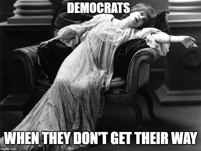 Vintage fainting woman | DEMOCRATS; WHEN THEY DON'T GET THEIR WAY | image tagged in vintage fainting woman | made w/ Imgflip meme maker