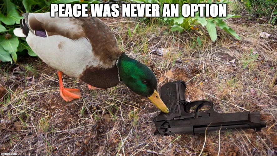 peace is not an option | PEACE WAS NEVER AN OPTION | image tagged in peace,funny,memes,guns,duck,ducks | made w/ Imgflip meme maker