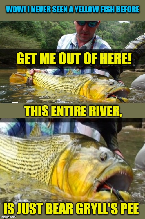 Too much peeing | WOW! I NEVER SEEN A YELLOW FISH BEFORE; GET ME OUT OF HERE! THIS ENTIRE RIVER, IS JUST BEAR GRYLL'S PEE | image tagged in memes,funny memes,bear grylls,peeing,nature,fishing | made w/ Imgflip meme maker