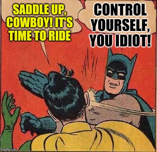 Batman Slapping Robin | SADDLE UP, COWBOY! IT'S TIME TO RIDE; CONTROL YOURSELF, YOU IDIOT! | image tagged in memes,batman slapping robin | made w/ Imgflip meme maker