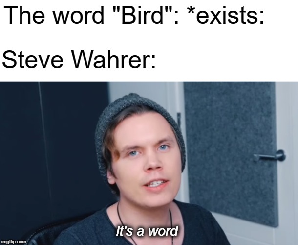 Roomie "It's a word" | The word "Bird": *exists:; Steve Wahrer:; It's a word | image tagged in it's a word,roomie,memes,bird | made w/ Imgflip meme maker