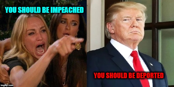 YOU SHOULD BE IMPEACHED; YOU SHOULD BE DEPORTED | image tagged in lady yelling at cat,donald trump | made w/ Imgflip meme maker