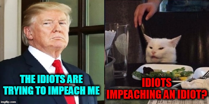 IDIOTS IMPEACHING AN IDIOT? THE IDIOTS ARE TRYING TO IMPEACH ME | image tagged in angry lady cat,donald trump,impeach trump | made w/ Imgflip meme maker