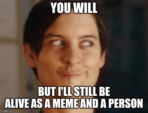 Spiderman Peter Parker Meme | YOU WILL BUT I'LL STILL BE ALIVE AS A MEME AND A PERSON | image tagged in memes,spiderman peter parker | made w/ Imgflip meme maker