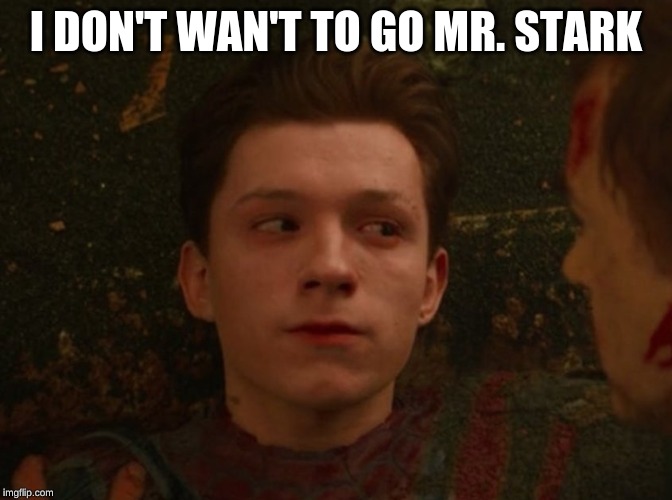Spiderman Dust | I DON'T WAN'T TO GO MR. STARK | image tagged in spiderman dust | made w/ Imgflip meme maker