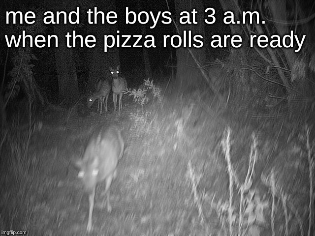 me and the boys at 3 a.m. when the pizza rolls are ready | image tagged in memes,pizza,pizza rolls,me and the boys,me and the boys at 3 am,scp | made w/ Imgflip meme maker