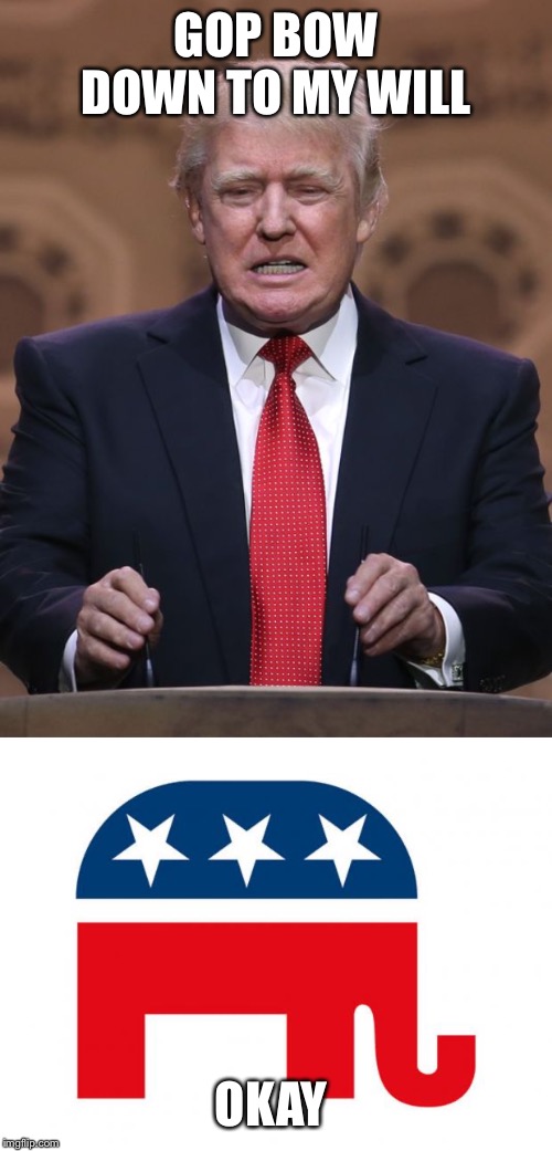 GOP BOW DOWN TO MY WILL; OKAY | image tagged in republican,donald trump | made w/ Imgflip meme maker