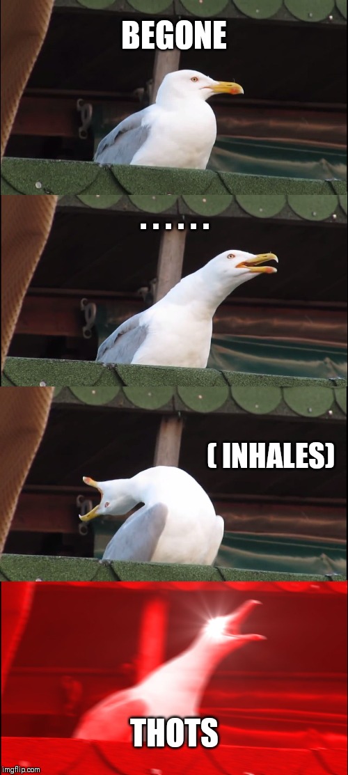 Inhaling Seagull | BEGONE; . . . . . . ( INHALES); THOTS | image tagged in memes,inhaling seagull | made w/ Imgflip meme maker