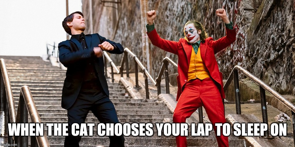 Peter Joker Dancing | WHEN THE CAT CHOOSES YOUR LAP TO SLEEP ON | image tagged in peter joker dancing | made w/ Imgflip meme maker