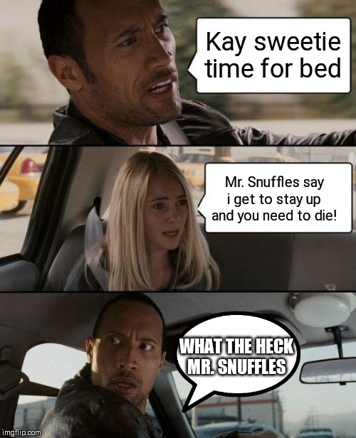 The Rock Driving | Kay sweetie time for bed; Mr. Snuffles say i get to stay up and you need to die! WHAT THE HECK MR. SNUFFLES | image tagged in memes,the rock driving | made w/ Imgflip meme maker