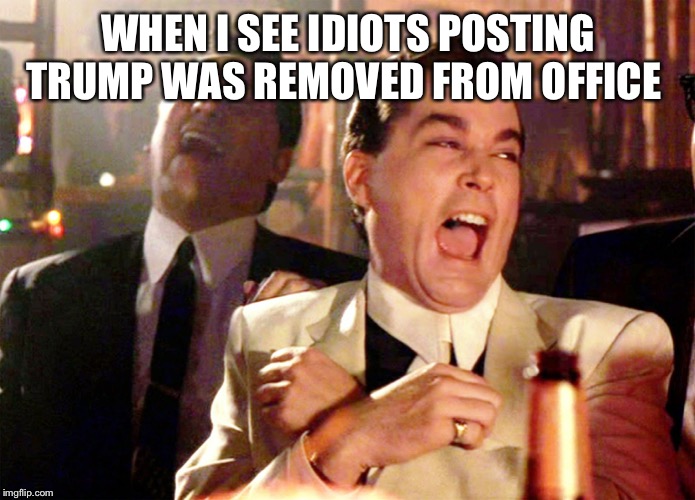 Good Fellas Hilarious Meme | WHEN I SEE IDIOTS POSTING TRUMP WAS REMOVED FROM OFFICE | image tagged in memes,good fellas hilarious | made w/ Imgflip meme maker