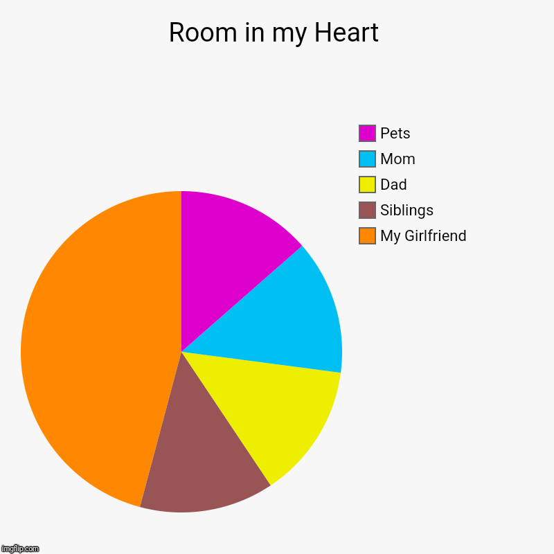 Room in my Heart | My Girlfriend, Siblings, Dad, Mom, Pets | image tagged in charts,pie charts | made w/ Imgflip chart maker