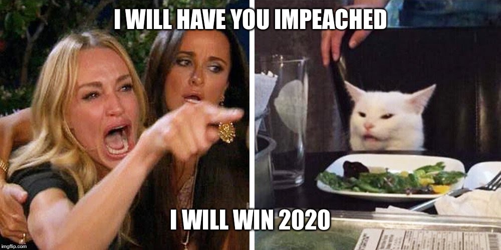 Smudge the cat | I WILL HAVE YOU IMPEACHED; I WILL WIN 2020 | image tagged in smudge the cat | made w/ Imgflip meme maker