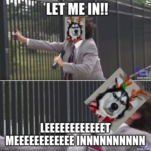 Eric Andre Let Me In (blank) | LET ME IN!! LEEEEEEEEEEEET MEEEEEEEEEEEE INNNNNNNNNN | image tagged in eric andre let me in blank | made w/ Imgflip meme maker