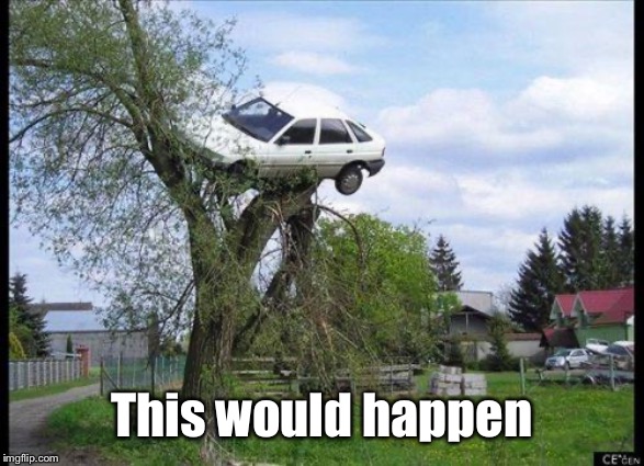 car in tree | This would happen | image tagged in car in tree | made w/ Imgflip meme maker
